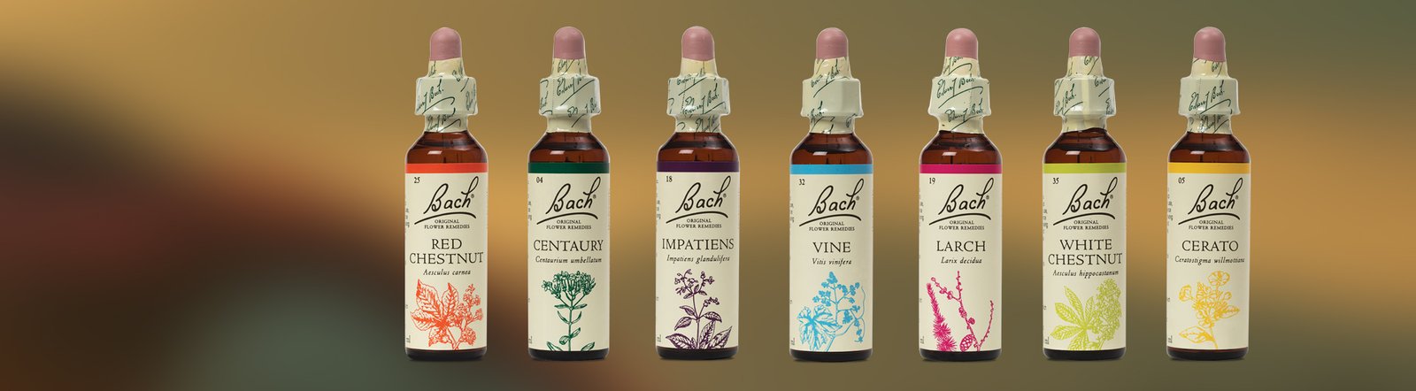 🌸 🩺 🔑மலர் மருத்துவ ரகசியம்